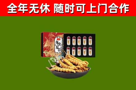 本溪回收冬虫夏草价格